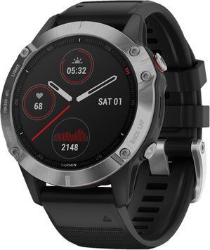 Garmin Fenix 6 Solar Silver with black band (010-02410-00) E7102 фото