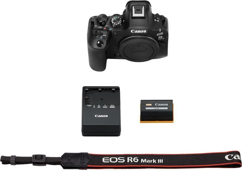 Canon EOS R6 Mark III Body (7084C035) FS0151 фото