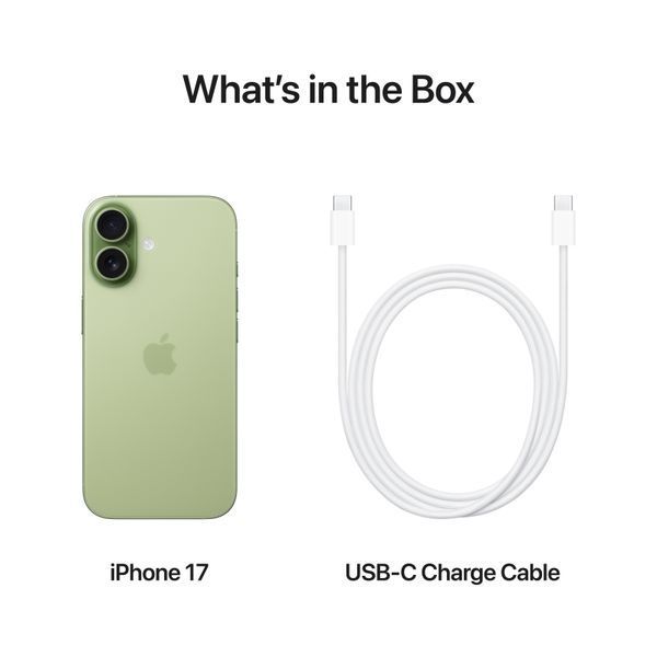 Смартфон Apple iPhone 17 256GB Sage (MG6N4) J1427 фото