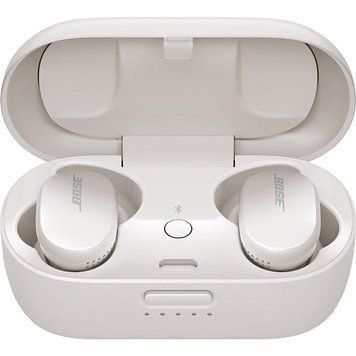 Bose QuietComfort Earbuds Soapstone (831262-0020) G4048 фото
