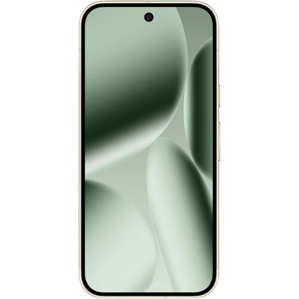 Google Pixel 10 Pro 16/256GB Jade AC1308 фото