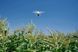 DJI Phantom 4 Multispectral (CP.AG.00000207.01) VT2100 фото 8