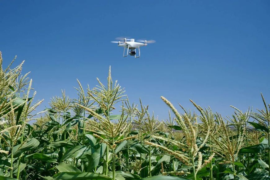 DJI Phantom 4 Multispectral (CP.AG.00000207.01) VT2100 фото