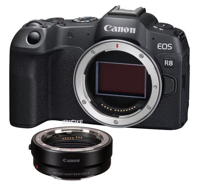 Canon EOS R8 body (5803C019) + MT ADP EF-EOSR FS1038 фото