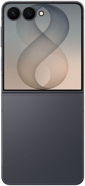 Смартфон Samsung Galaxy Flip8 12/256GB Graphite (SM-F776BZKG) M1704 фото
