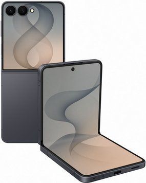 Смартфон Samsung Galaxy Flip8 12/256GB Graphite (SM-F776BZKG) M1704 фото