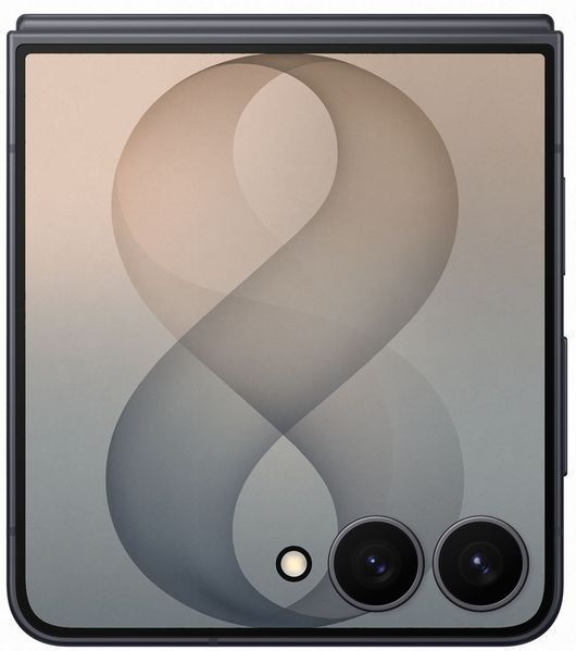 Смартфон Samsung Galaxy Flip8 12/256GB Graphite (SM-F776BZKG) M1704 фото