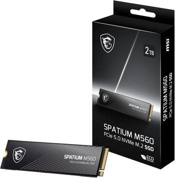 MSI Spatium M560 2 TB (S78-440Q940-P83) G2005 фото
