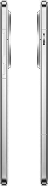 OnePlus 13 12/256GB Arctic Dawn M7436 фото