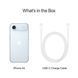 Apple iPhone Air 256GB Sky Blue (MG364, MG1D4, MG2P4) J1409 фото 5