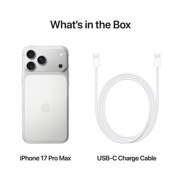 Смартфон Apple iPhone 17 Pro 1TB Silver (MG8P4) LZ2150 фото