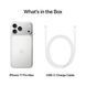 Смартфон Apple iPhone 17 Pro 1TB Silver (MG8P4) LZ2150 фото 3